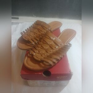 Arizona Jean Co. AZ Birch Natural 11M NEW